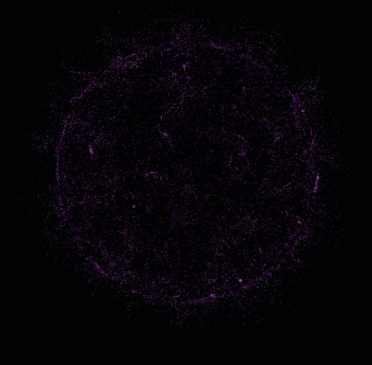 NoX: Your AI Wingman